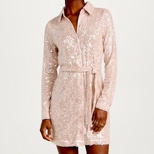 Le Superbe Inner Glow Nude Shine Shirt Dress Perfect Seqin Dress, MSRP $600 NWT